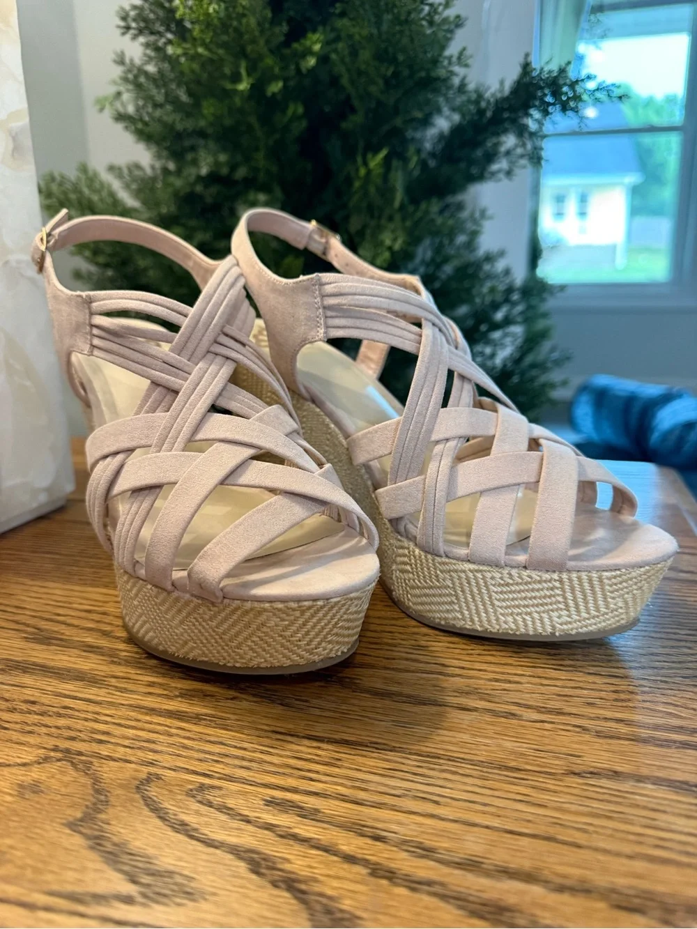 Women’s Blush Wedge Sandals – Strappy Platform Heels